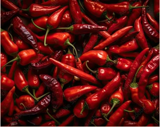 Red Chilli